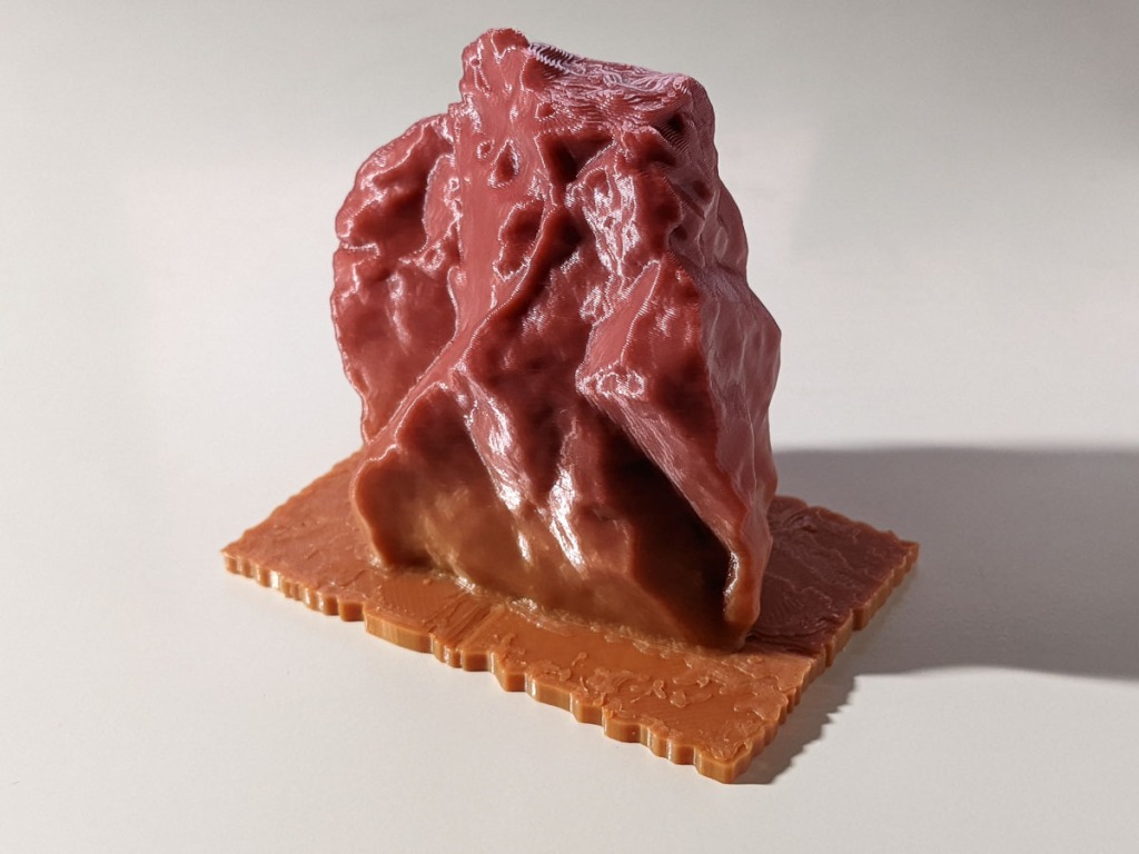 3D Print of Rock in Photo Above